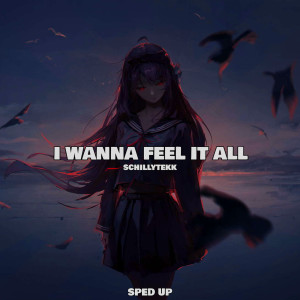 Listen to I Wanna Feel It All (Sped Up) song with lyrics from SCHILLYTEKK