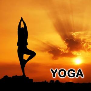 收聽Shreevalli的Yoga歌詞歌曲
