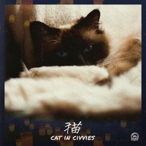 收聽bert cussion的cat in civvies歌詞歌曲