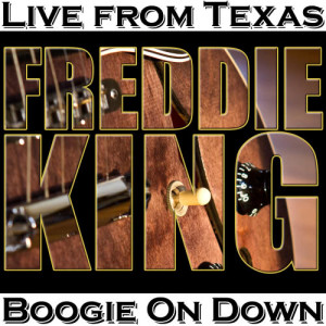 ดาวน์โหลดและฟังเพลง Hide Away (Live) พร้อมเนื้อเพลงจาก Freddie King