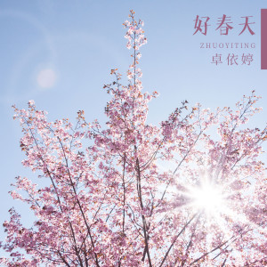 Listen to 迎春花 song with lyrics from Timi Zhuo