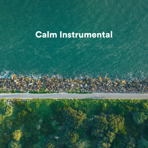 Oasis of Relaxation and Meditation的專輯Calm Instrumental