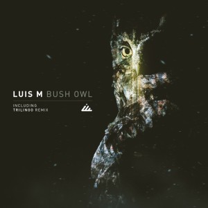 Listen to Bush Owl song with lyrics from Luis M