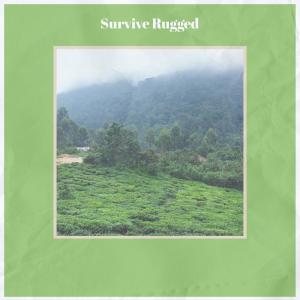 Dengarkan Survive Rugged lagu dari Joed Boue dengan lirik