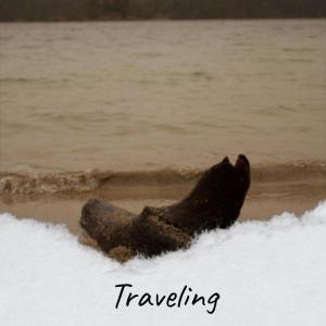 Album Traveling from Various
