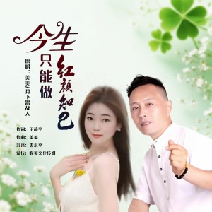 美美的专辑今生只能做红颜知己（对唱版）