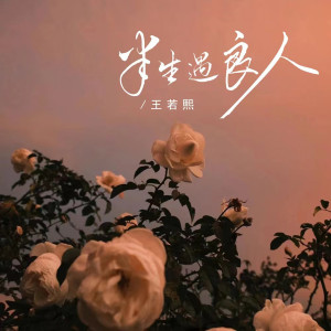Listen to 半生遇良人 song with lyrics from 王若熙