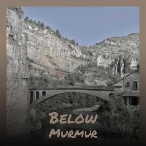 Album Below Murmur from Various