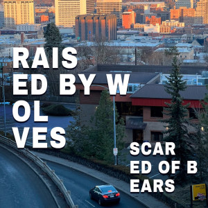 Listen to Way Away song with lyrics from Scared Of Bears