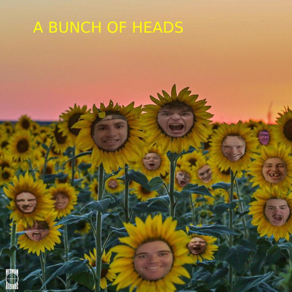 Camel (feat. BANDØ)