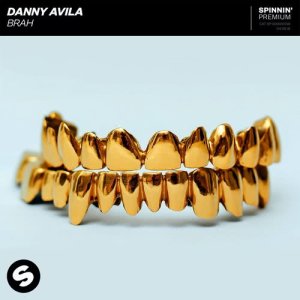 ดาวน์โหลดและฟังเพลง BRAH พร้อมเนื้อเพลงจาก Danny Avila