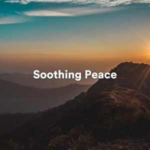 อัลบัม Soothing Peace ศิลปิน Meditation & Focus Workshop