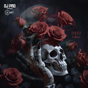Listen to Curtir a Vida Comigo (Explicit) song with lyrics from DJ PND