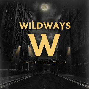 收聽Wildways的D.O.I.T.歌詞歌曲