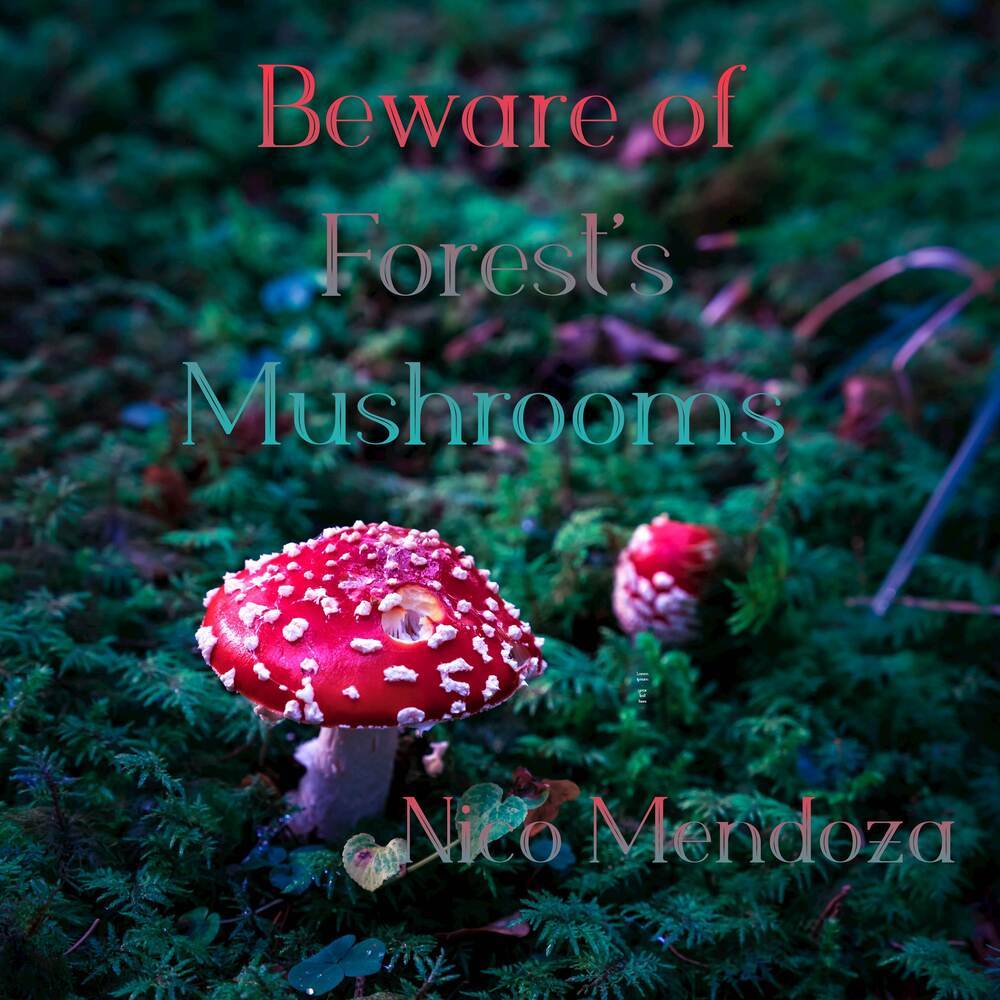 Beware of Forest's Mushrooms