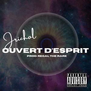 ดาวน์โหลดและฟังเพลง Ouvert D'esprit(feat. Jrichol) (Explicit) พร้อมเนื้อเพลงจาก Regal The Rare