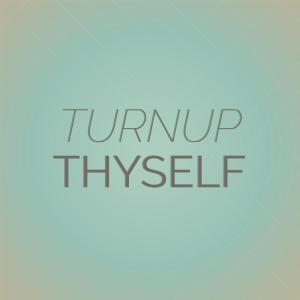 Various的专辑Turnup Thyself