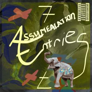 default album img