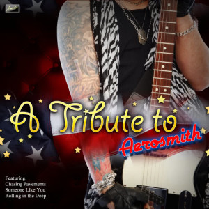 ดาวน์โหลดและฟังเพลง Amazing พร้อมเนื้อเพลงจาก Ameritz Tribute Club