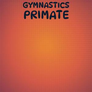 Various的专辑Gymnastics Primate