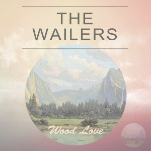 ดาวน์โหลดและฟังเพลง Party Time U.S.A พร้อมเนื้อเพลงจาก The Wailers