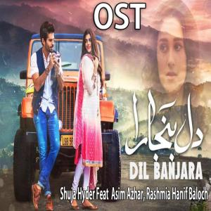 Listen to Dil Banjaara song with lyrics from Shuja Hyder