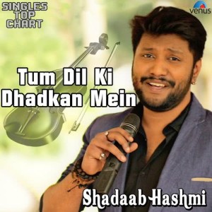 Dengarkan Tum Dil Ki Dhadkan Mein (Unplugged) lagu dari Shadaab Hashmi dengan lirik