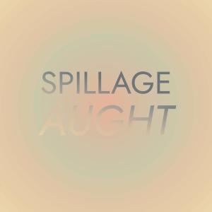 收听Opae的Spillage Aught歌词歌曲