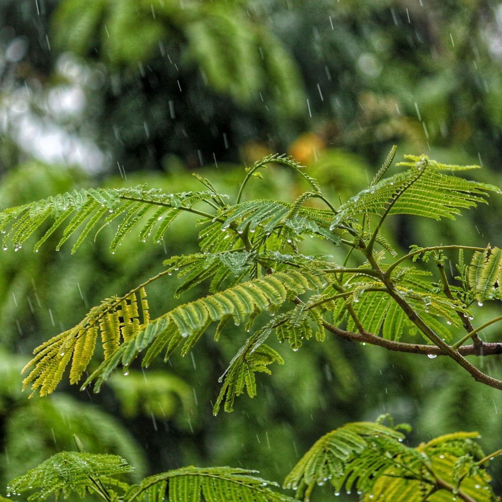 Delicate Droplets