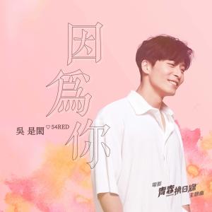 Album Yin Wei Ni (Dian Ying "Qing Chun Huan Ri Xian" Zhu Ti Qu) from 吴是闳