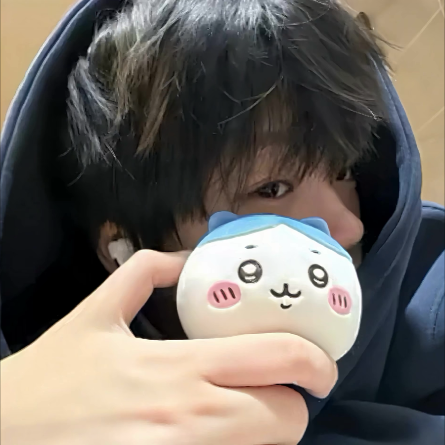 打工赚钱养小猫