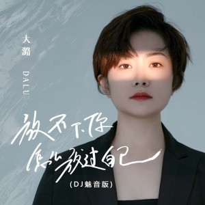 Album 放不下你怎么放过自己(DJ魅音版) from 大潞