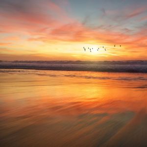 Dengarkan Feel Good lagu dari Meditation Rain Sounds dengan lirik