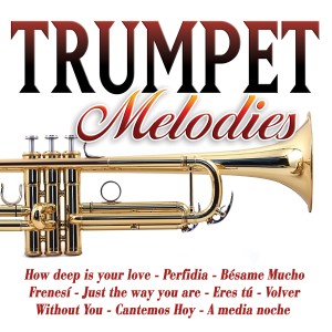 ดาวน์โหลดและฟังเพลง A Media Noche-Instrumental Trumpet พร้อมเนื้อเพลงจาก Trumpet Gold