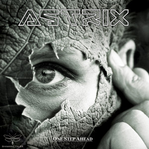 ดาวน์โหลดและฟังเพลง I Scream พร้อมเนื้อเพลงจาก Astrix