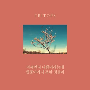 Tritops的专辑미세먼지 나쁨이라는데 벚꽃이라니 독한것들아