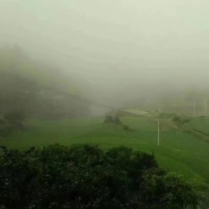 Dengarkan 寂寞盈袖映清秋 (完整版) lagu dari 朦歌 dengan lirik