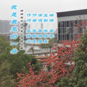 Album 我是最亮的一朵   演唱：黄琳雅 from 