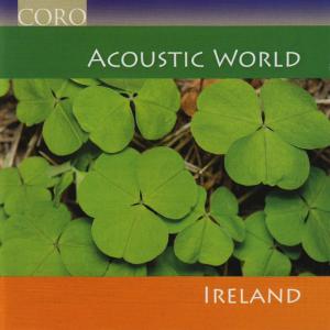 ดาวน์โหลดและฟังเพลง Irish Lasses, St Patrick's, Jerry's Beaver Hat, The Chorus Jig - Jigs พร้อมเนื้อเพลงจาก Various