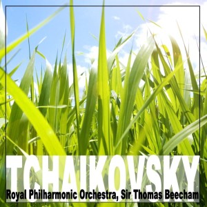 收聽Royal Philharmonic Orchestra的Nutcracker Suite, Op 71a: III. Waltz Of The Flowers歌詞歌曲