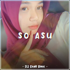 SO ASU (Explicit)
