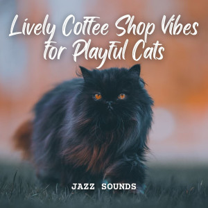 Jazz Sounds: Lively Coffee Shop Vibes for Playful Cats