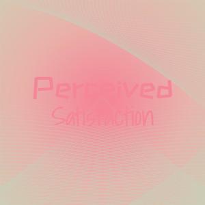 Various的专辑Perceived Satisfaction