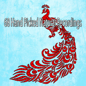 ดาวน์โหลดและฟังเพลง Foundation of a Healthy Mind พร้อมเนื้อเพลงจาก Classical Study Music