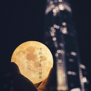 收聽王心凌的月光歌詞歌曲