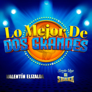 ดาวน์โหลดและฟังเพลง Solamente Tú พร้อมเนื้อเพลงจาก Sergio Vega "El Shaka"