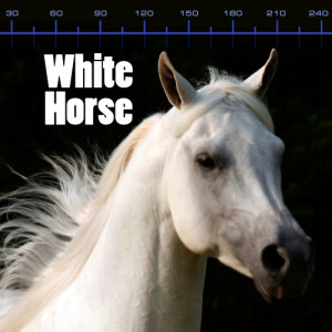 收聽The Black Stallians的White Horse (Singalong Version)歌詞歌曲