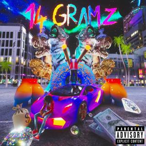 อัลบัม 14 GRAMZ (feat. Valee) ศิลปิน Skyxxx