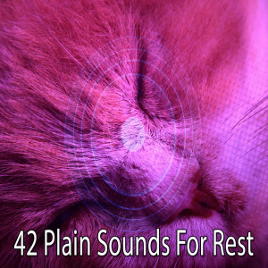 收听Rest & Relax Nature Sounds Artists的Insomniacs Remedy歌词歌曲