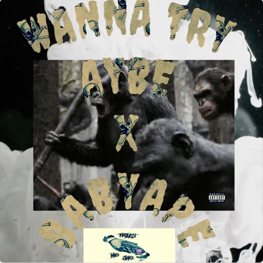 Wanna Try (feat. BabyApe) (Explicit)